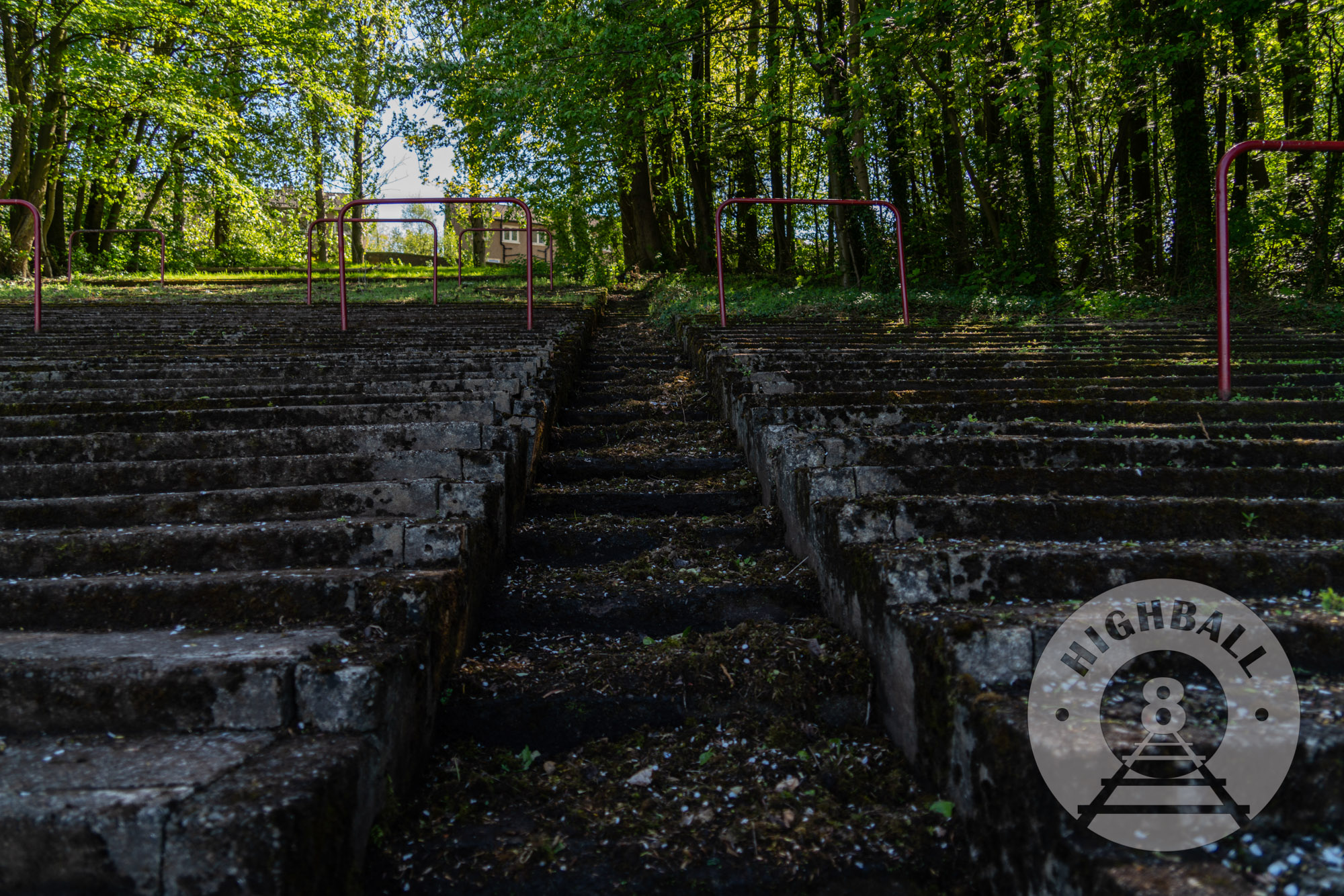 Overgrown football ground terrace at Cathkin Park, Crosshill, Glasgow, Scotland, UK, 2018.