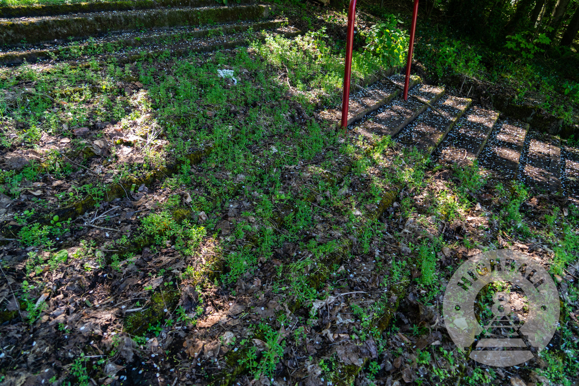 Overgrown football ground terrace at Cathkin Park, Crosshill, Glasgow, Scotland, UK, 2018.