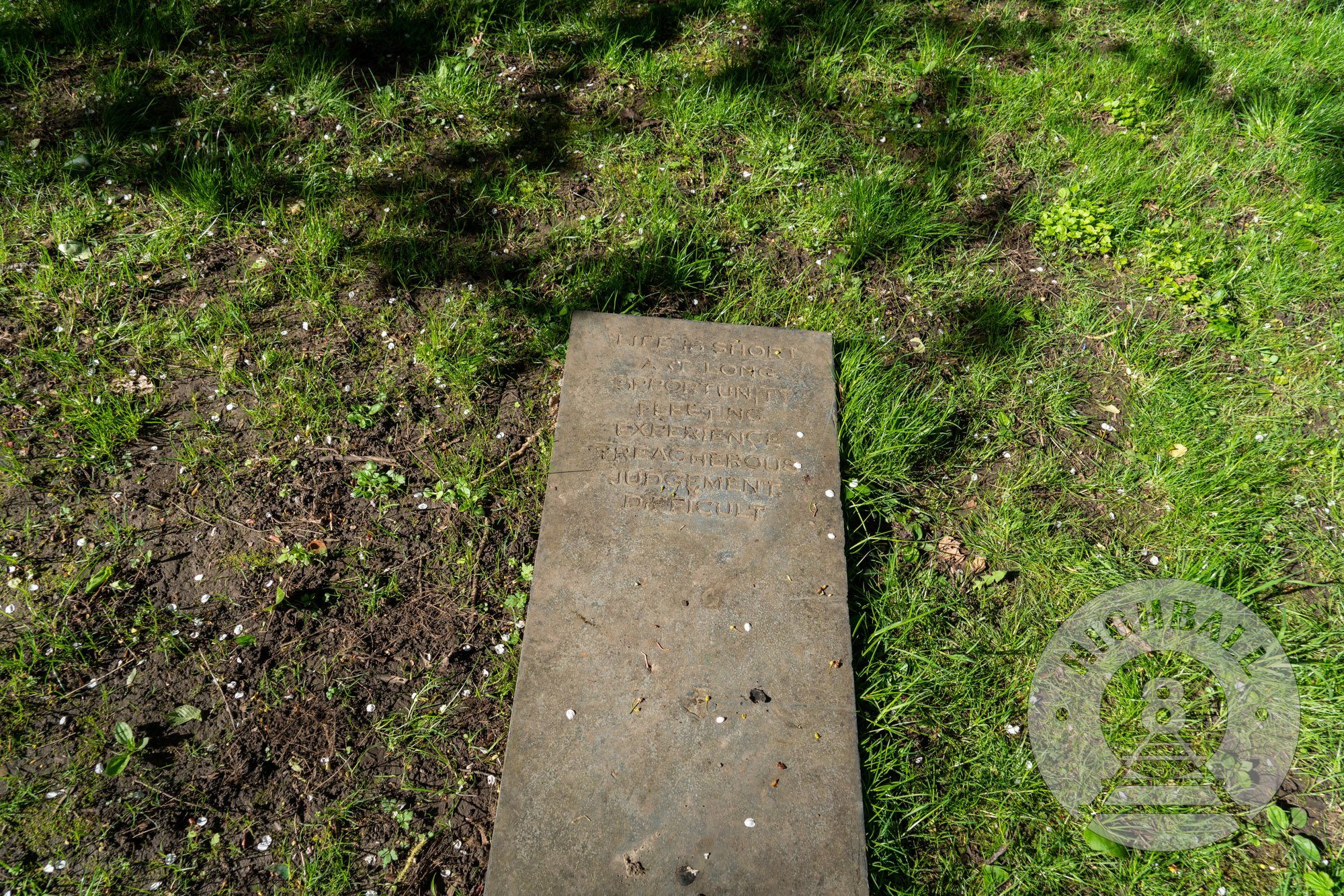 Overgrown football ground terrace at Cathkin Park, Crosshill, Glasgow, Scotland, UK, 2018. A stone embedded in the ground of the terrace has an inscription that reads