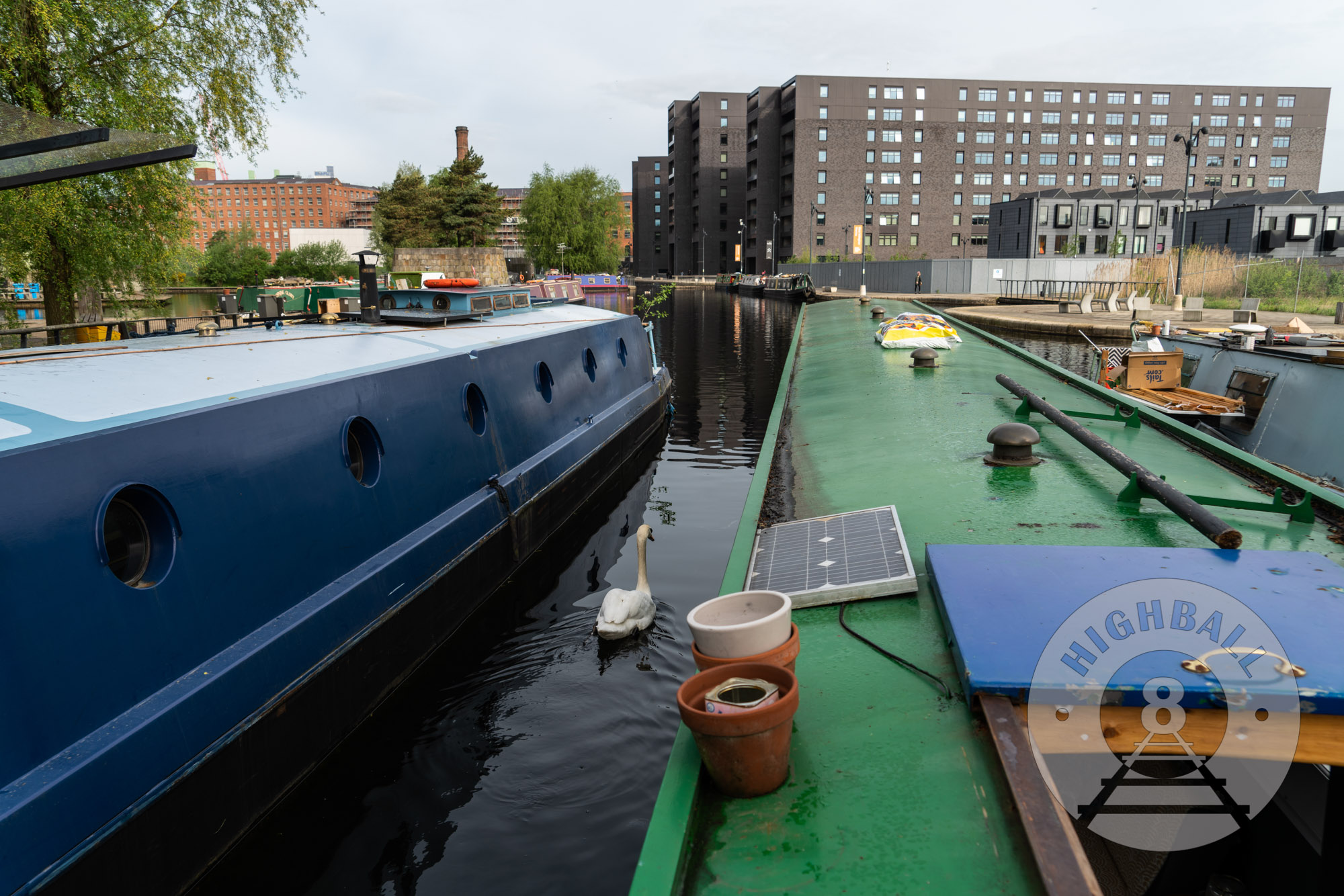 Canal boats in a marina, with a goose, New Islington, Manchester, UK, 2018.