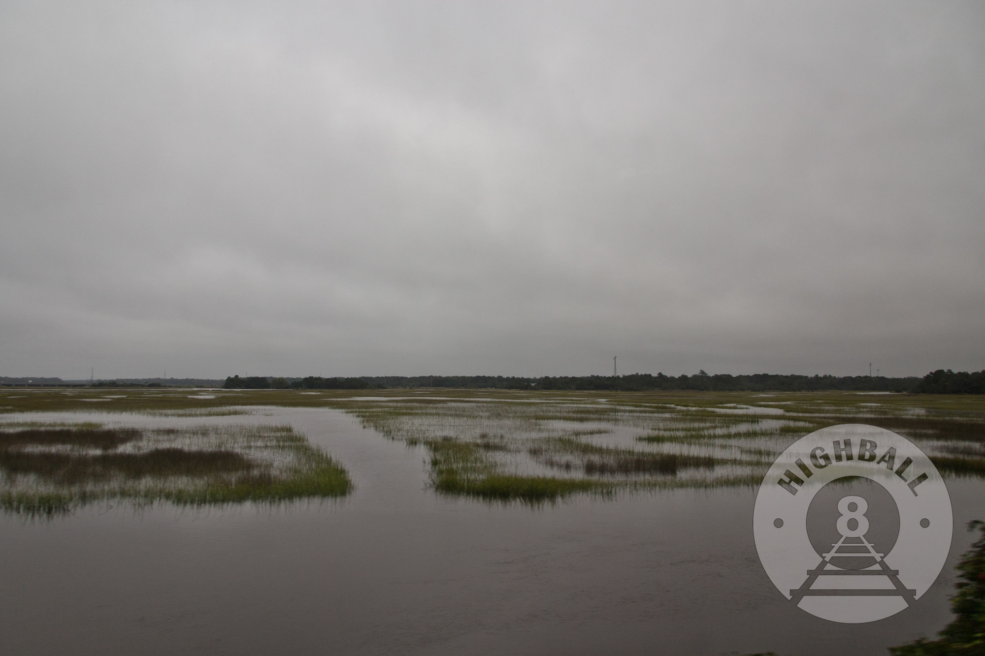 Wetlands along the route of the Amtrak Palmetto, South Carolina, USA, 2015.