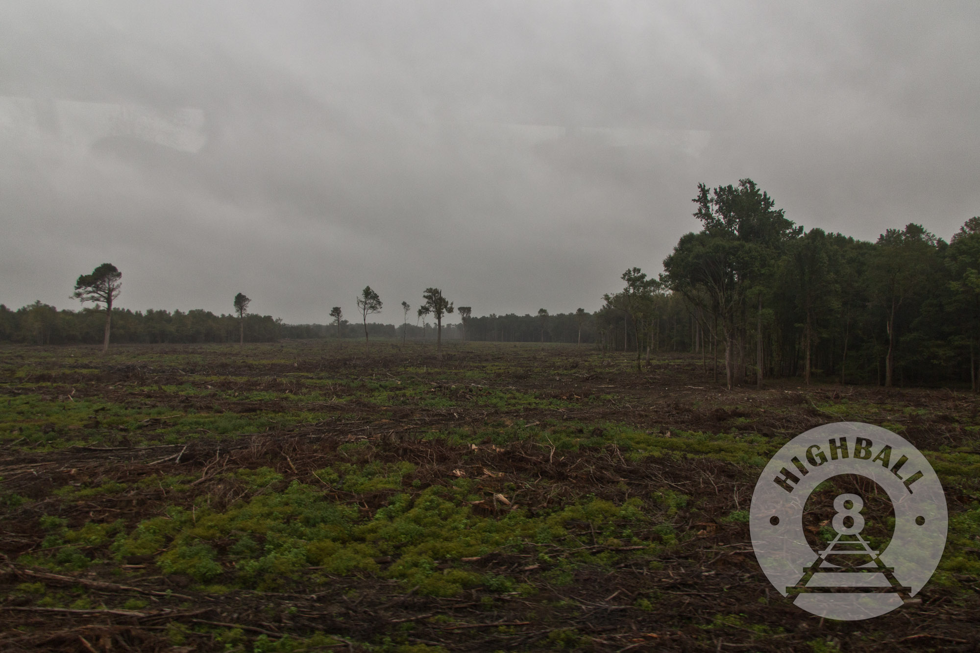 View along the route of the Amtrak Palmetto, somewhere in the Carolinas, USA, 2015.