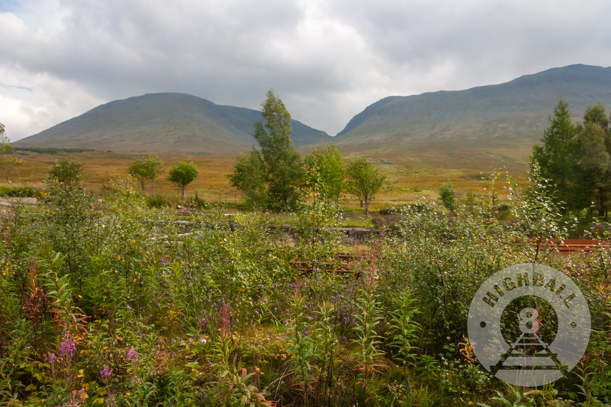 View from a Mallaig-bound West Highland Line train on Rannoch Moor, Scotland, UK, 2010.