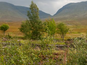 View from a Mallaig-bound West Highland Line train on Rannoch Moor, Scotland, UK, 2010.