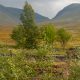 View from a Mallaig-bound West Highland Line train on Rannoch Moor, Scotland, UK, 2010.