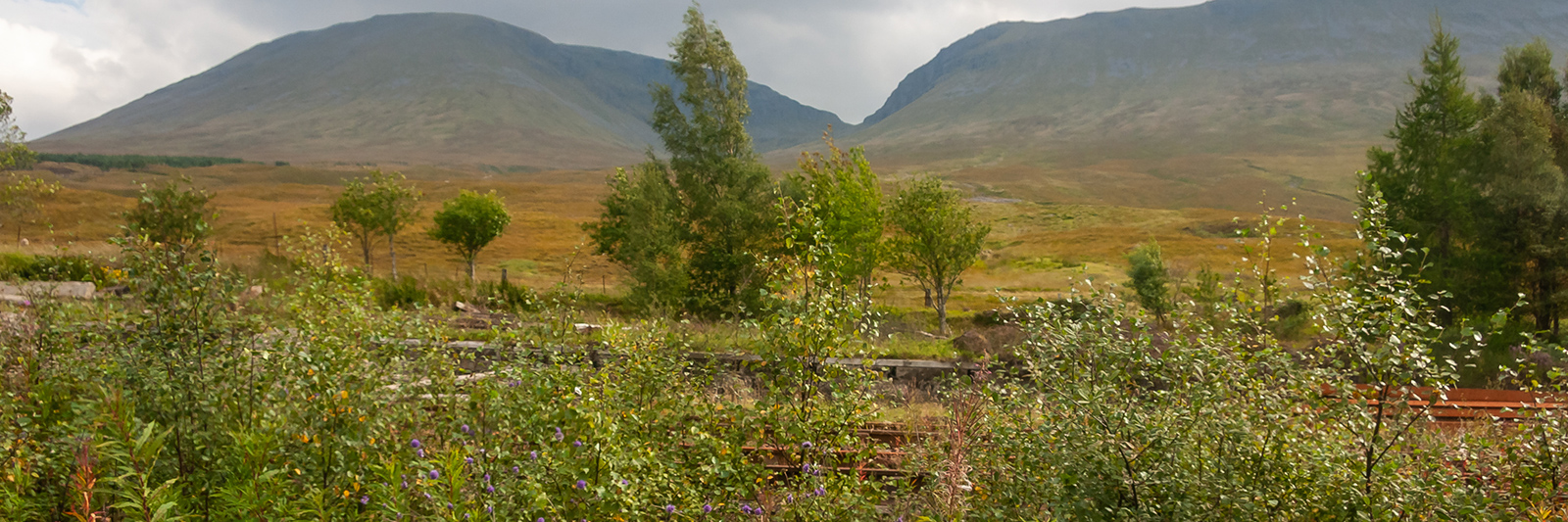 View from a Mallaig-bound West Highland Line train on Rannoch Moor, Scotland, UK, 2010.